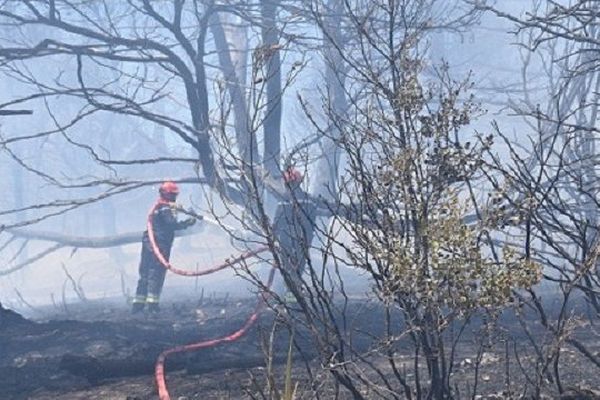 Incendie à Cabriès : 3 hectares détruits