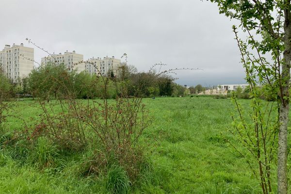 Les îlots de fraîcheur, comme ici à Rennes aux prairies Saint-Martin, permettent de faire baisser la température en milieu urbain.