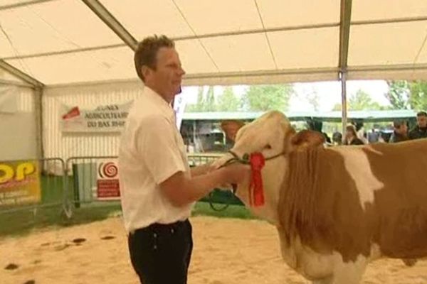 Grotte, une Simmental, a été primée