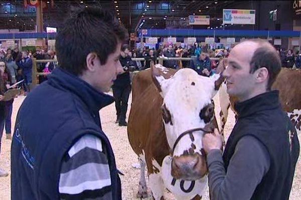 Florian Gautier, élève de terminale en Eure-et-Loir, participe au concours du jugement des animaux du salon de l'agriculture