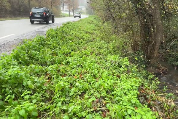 L'avenue de Montvaltin au Creusot, le demi-corps a été retrouvé dans le ruisseau en bord de route