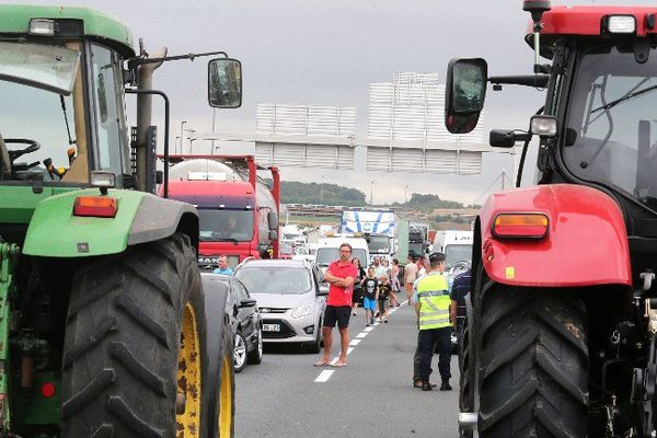 Les éleveurs bloquent les routes d'Amiens le 21 juillet pour protester contre le faible prix du lait et de la viande (  FRANCOIS NASCIMBENI / AFP)