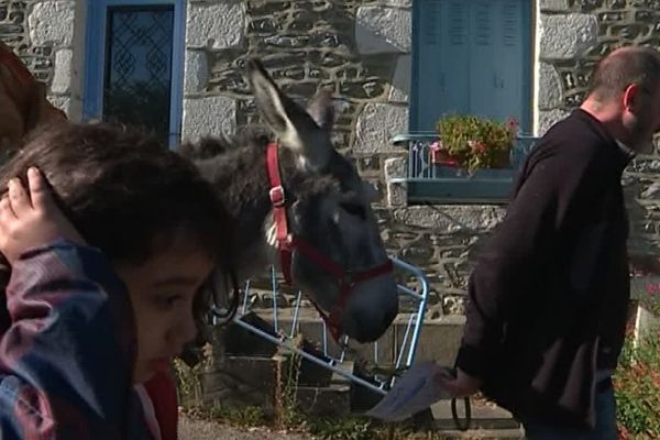 Les Alpes Mancelles ont des altitudes comprises entre 140 et près de 220 mètres.