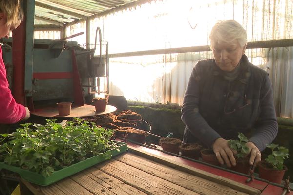 Les horticulteurs, les oubliés de cette crise des agriculteurs.