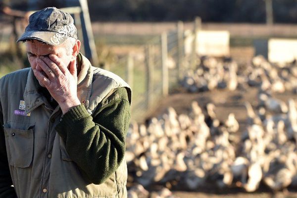 L'éleveur Bernard Dupuy, dans sa ferme dans le Sud-Ouest de la France, le 5 décembre 2016. 