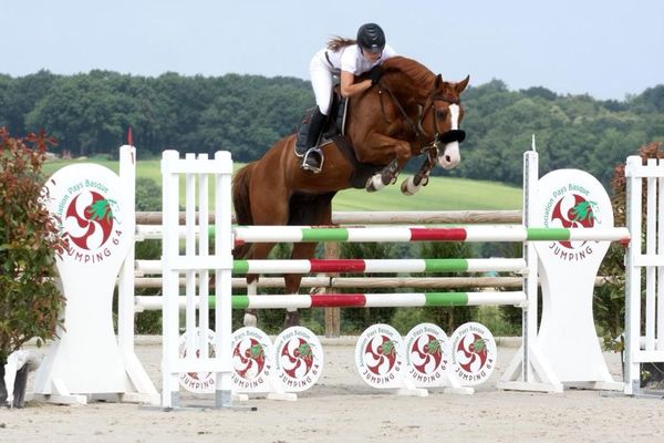 Eugénie Serra montant Quador, l'un de ces chevaux mutilés en 2015