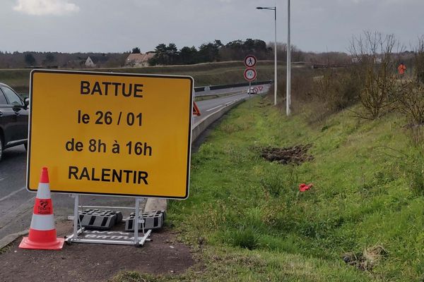 Battue administrative au bord de la rocade de Tours