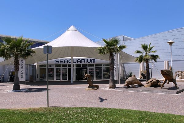 Le seaquarium du Grau-du-Roi est fermé pour les visiteurs depuis plus de deux mois - décembre 2020