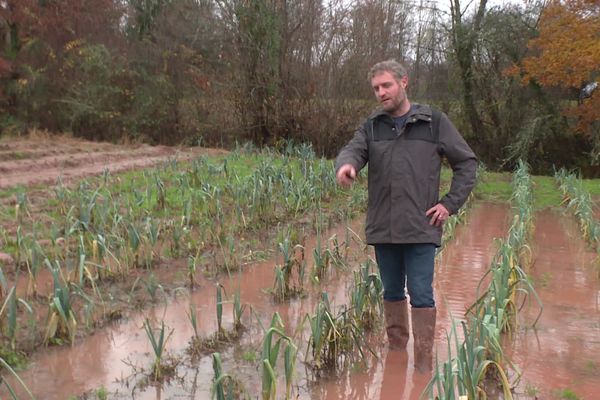 Des exploitations entières ont été inondées par la pluie.