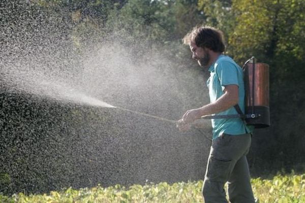 Un agriculteur en biodynamie répand un produit autorisé à base de purin d'ortie