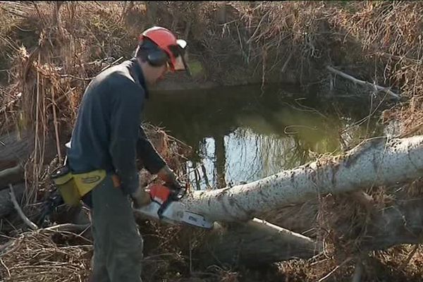 Sur les bords du Lauquet, dans l'Aude  dont les débordements avaient provoqué de gros dégâts sur les communes de Verzeilles et de Saint Hilaire, des forestiers sapeurs sont venus de l'Ardèche pour prêter main forte aux habitants. 