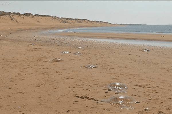 Prudence sur la place de Sauveterre, où les dunes sont instables