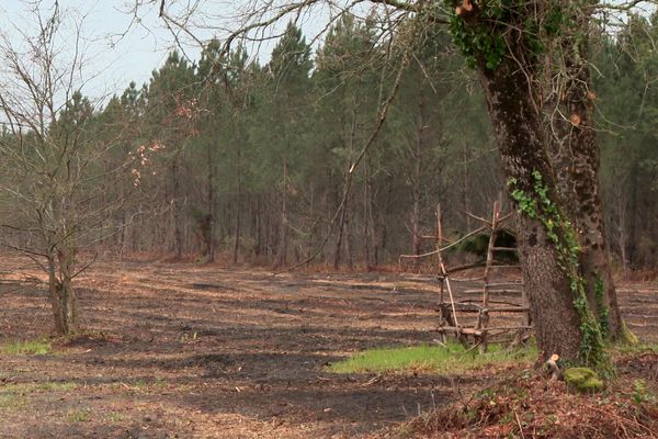 A Saint-Symphorien, la commune se prépare seule aux risques incendies