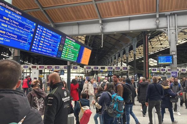 Des usagers attendent de pouvoir prendre leur train en gare Saint-Lazare pour aller en Normandie en raison d'une panne  sur "les installations du gestionnaire de réseau", mardi 20 août 2024.