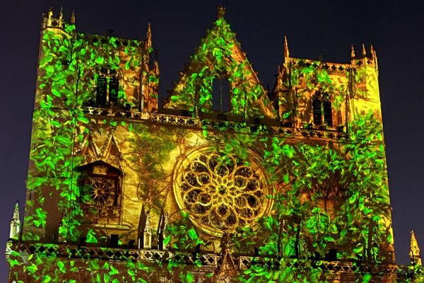 La Cathédrale Saint-Jean est une nouvelle fois un magnifique écrin pour la Fête des Lumières.