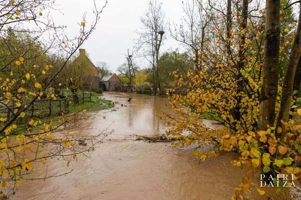 L'eau est montée dans le parc animalier belge, mais les bêtes ont été mises à l'abri.