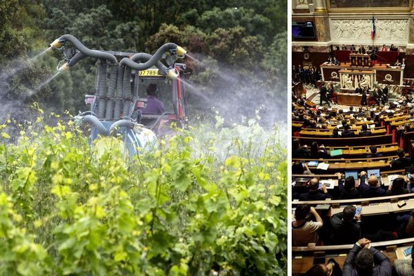 Les députés picards ont-ils voté pour ou contre l'interdiction du glyphosate en France d'ici 2021 ?