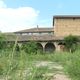 Dans le grand cloître, la nature a repris ses droits depuis 3 siècles.