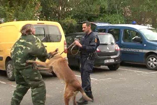 Un exercice contre les morsures de chiens encadré par une brigade canine de gendarmerie - 2 novembre 2015