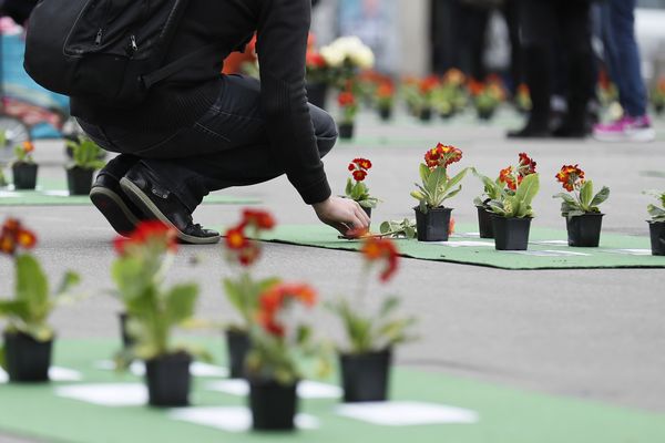 Au Palais Royal à Paris, lors de la cérémonie en hommage aux "Morts de la rue", ce jeudi