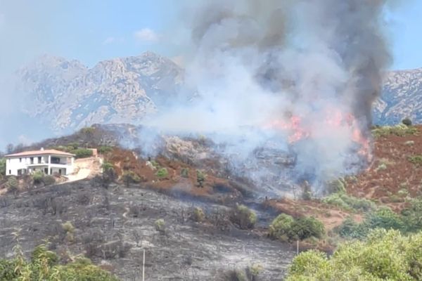 L'incendie s'est déclaré dans l'après-midi dans la plaine de Peri (Corse-du-Sud)