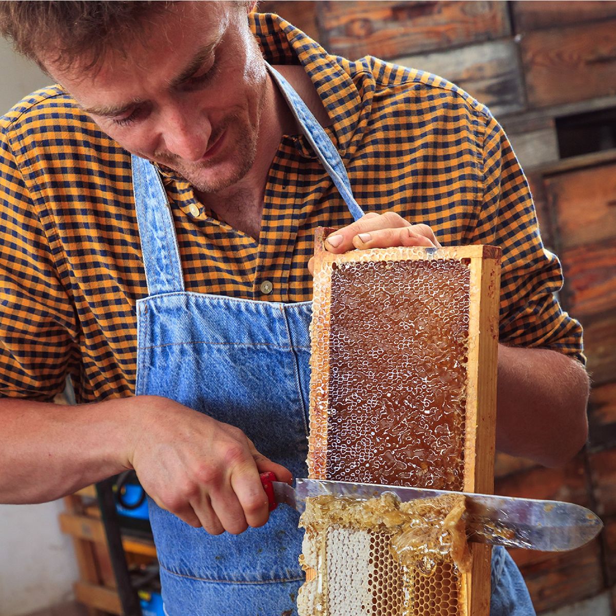 Ruche haut de gamme de fabrication artisanale