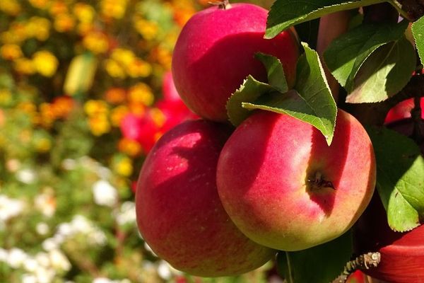 L’été va-t-il s’attarder cette année ? 