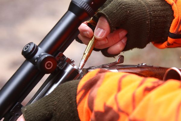 La préfecture de Haute-Savoie renonce à autoriser la chasse en été. Photo d'illustration.