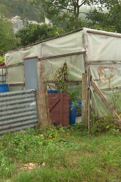 Dans la zone industrialo-portuaire, les jardins potagers de Canteleu près de Rouensont cultivés depuis une quarantaine d'années