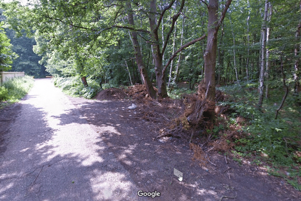 Le promeneur a découvert la voiture dans la forêt de Grand Couronne (Seine Maritime)