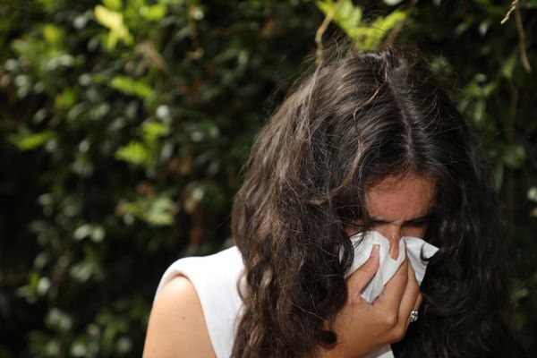 "Le retour de températures plus élevées et d'un temps ensoleillé viendra favoriser l'émission et la dispersion des fortes concentrations de pollens de graminées dans l'air" explique le Réseau national de surveillance aérobiologique.