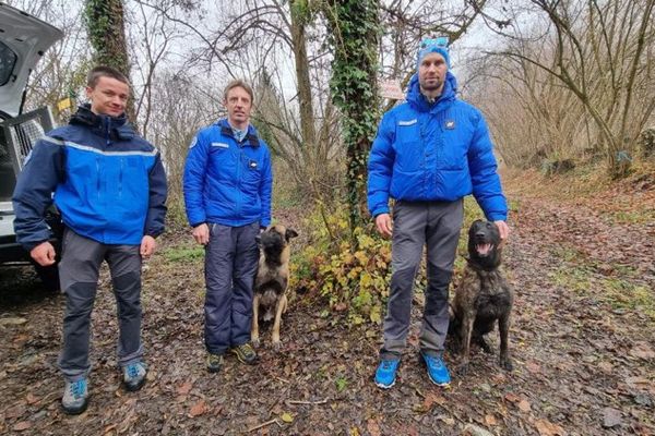 Prolix (à gauche) et Magic (à droite) sont les chiens du PGHM de l'Isère.