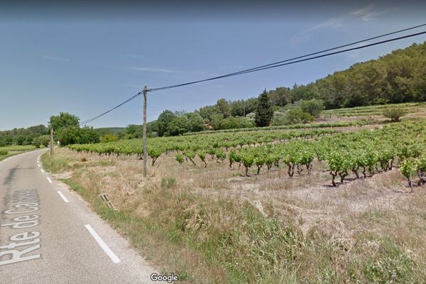 L'homme se trouvait sur la route de Cabasse, au Luc en Provence, où il participait à une battue aux sangliers