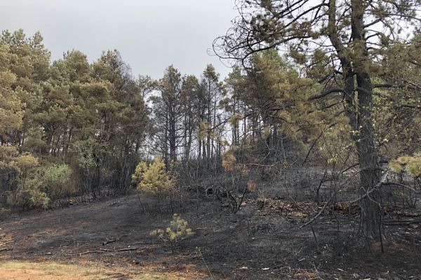 Ain : 12 hectares partis en fumée à Béard-Géovreissiat - 26/08/20