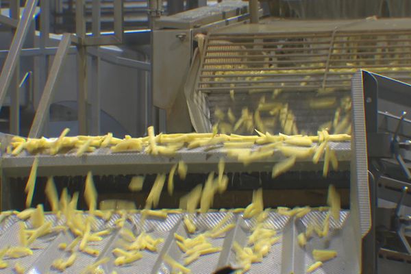 30 tonnes de pommes de terre entrent tous les jours dans l'usine Ecofrost située à Péruwelz, en Belgique.