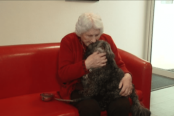 Les animaux, un réconfort pour les personnes âgées