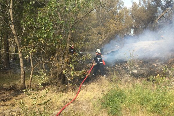 Les pompiers de l'Aude sont intervenus sur un incendie mardi 2 juillet à Sigean.