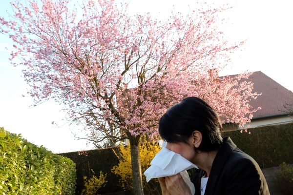 Les prochains jours s'annoncent difficile pour les allergiques.