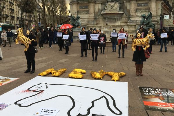 Des militants de l'association Paris Animaux Zoopolis demandent une loi pour l'interdiction des animaux sauvages dans les cirques.