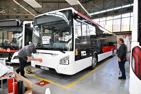 Sur l'ensemble du réseau des TCL, les bus porteront tous la même identité visuelle sur l'ensemble du département du Rhône.