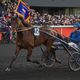 Tenant du titre du Prix d'Amérique, le crack normand Idao de Tillard a été testé positif à la leptospirose, début décembre.