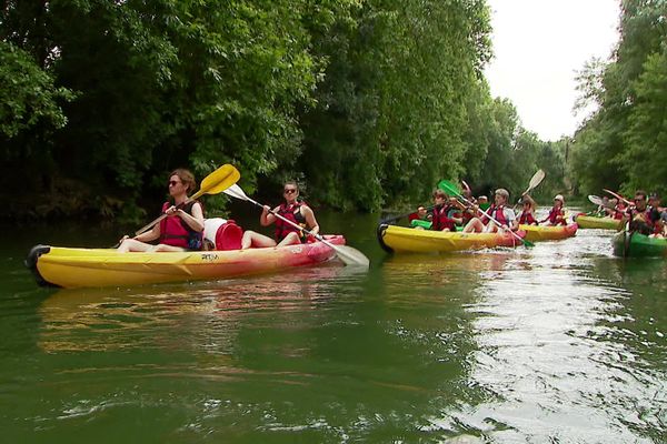 Des balades culturelles le long du Clain