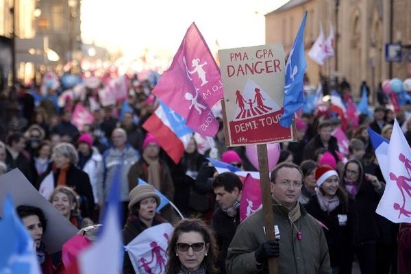 Un cortège de la Manif pour tous, mobilisée à Versailles le 15 décembre 2013.