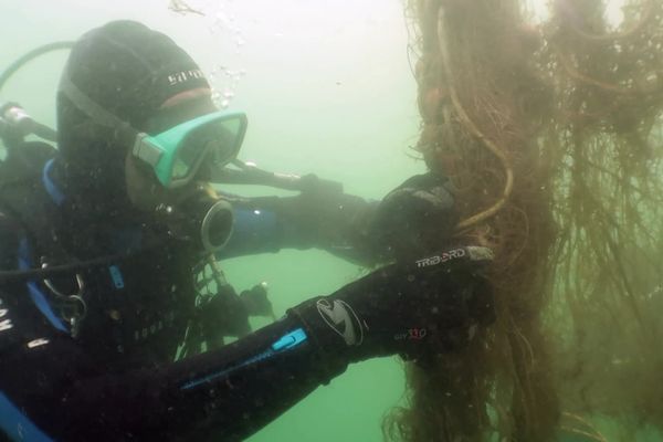 Les nettoyeurs subaquatiques du bassin d'Arcachon récoltent de nombreux déchets sous l'eau.