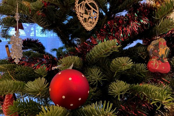 Ils tentent de voler les sapins de l'hôtel de Ville de Maromme (76), pour les offrir à leurs copines