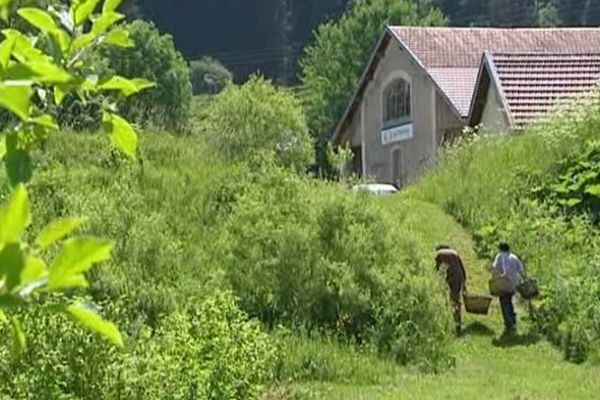 Les P'tits bonheurs à Chaux des Crotenay