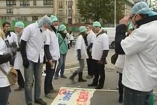 120 internes du CHU de Dijon ont manifesté lundi 12 novembre 2012 à Paris