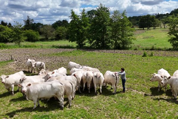 Esnes-en-Argonne dans la Meuse. Le projet de loi, très attendu par les agriculteurs, est à l'arrêt avec la dissolution de l'Assemblée nationale.