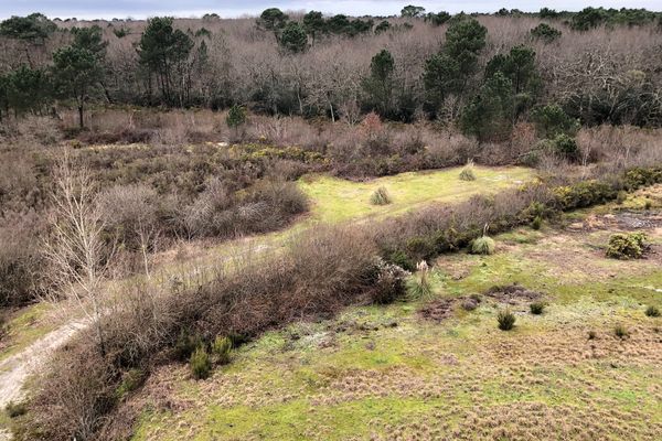 La forêt du Bourgailh, poumon vert de Pessac, l'un des 17 espaces extérieurs sans tabac de la ville girondine. 