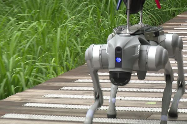 Le robot-chien accompagnera des équipes de démineurs sur plusieurs sites de Jeux Olympiques de Paris.